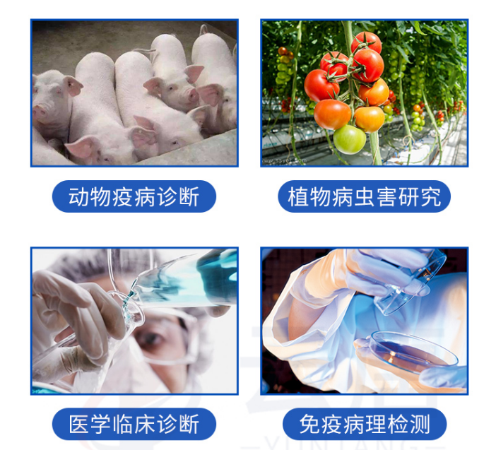 動物疫病檢測儀的檢測范圍有哪些？