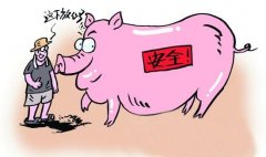 動(dòng)物疫病診斷的方法有哪些？