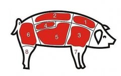 病害肉檢測(cè)儀讓老百姓吃上放心肉！