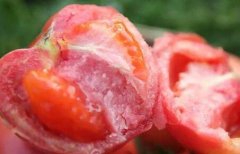 為何建議超市配備食品安全檢測儀？